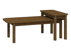 Best 2 pcs conjunto de mesas de centro pinho maciço mel PT308129 Castanho
