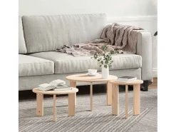 Mesa De Centro| 3 pcs Mesas de centro | Mesa de apoio | Mesa de café Natural 47.5x47.5x27 cm Castanho