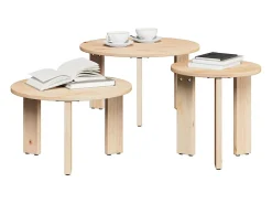 Mesa De Centro| 3 pcs Mesas de centro | Mesa de apoio | Mesa de café Natural 47.5x47.5x27 cm Castanho