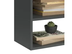 Prateleira|Vicco Aparador antracite 60x30x100 wido Cinza antracite