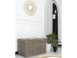 Acessórios De Arrumação|OZAIA Arca de arrumação em kubu TIMGAD - C100 x L55 x A55 cm - Cinza Cinzento