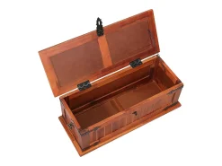 Acessórios De Arrumação|vidaxl Arca de arrumação 60x25x22 cm madeira de acácia maciça Natural claro