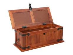Acessórios De Arrumação|vidaxl Arca de arrumação 60x25x22 cm madeira de acácia maciça Natural claro