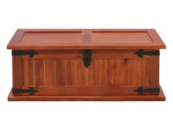 Acessórios De Arrumação|vidaxl Arca de arrumação 60x25x22 cm madeira de acácia maciça Natural claro