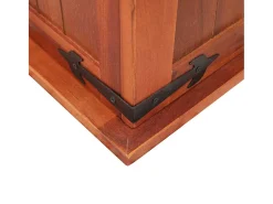 Acessórios De Arrumação|vidaxl Arca de arrumação 60x25x22 cm madeira de acácia maciça Natural claro