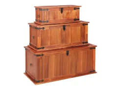 Acessórios De Arrumação*vidaxl Arcas de arrumação 3 pcs madeira de acácia maciça Natural claro