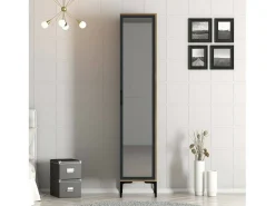 Dmora Armário multiusos Dabadi 1 porta, Armário multifunções, Sapateira, Sapateira, 40x201h48 cm, Nogueira e Antracite Castanho
