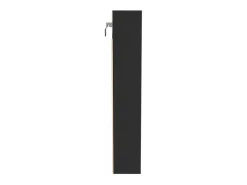 Vitrina*vidaxl Armário vitrine 100x8,5x50 cm derivados de madeira Preto