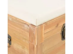 Acessórios De Arrumação|vidaxl Baú de arrumação com almofadão 80x40x40 cm MDF Natural claro