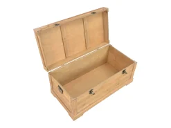 Acessórios De Arrumação|vidaxl Baú de arrumação com almofadão 80x40x40 cm MDF Natural claro