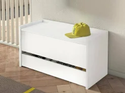 Dmora Baú Dgaiard, Móvel de entrada moderno com sapateira, Baú com dois recipientes, 100% Fabricado na Itália, 90x40h46 cm,^ Móvel De Arrumação|Sapateira
