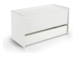 Móvel De Arrumação|Sapateira|Dmora Baú Lantana, Móvel de entrada moderno com sapateira, Baú com dois recipientes, 100% Fabricado na Itália, 90x40h46 cm, Branco