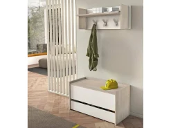 Sale Dmora Baú Lantana, Móvel de entrada moderno com sapateira, Baú com dois recipientes, 100% Fabricado na Itália, 90x40h46 cm, Branco e Carvalho Natural claro