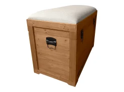 Acessórios De Arrumação*OZAIA Banco com arrumação com almofada em linho C80xL40xA53 cm natural e bege - TURZA Bege / Natural claro