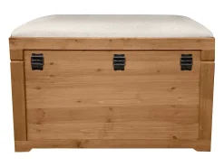 Acessórios De Arrumação*OZAIA Banco com arrumação com almofada em linho C80xL40xA53 cm natural e bege - TURZA Bege / Natural claro
