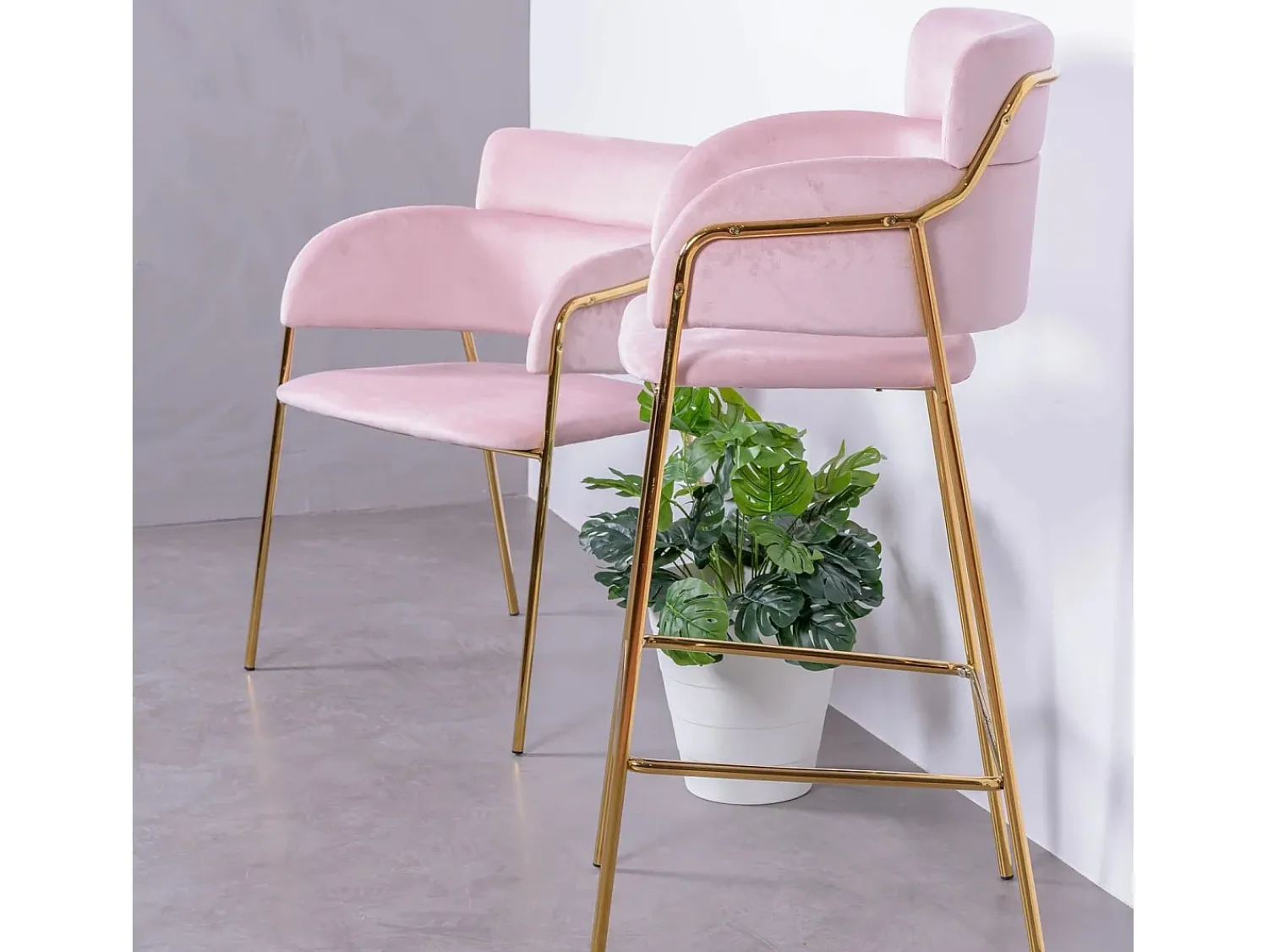 Banco*Nest Dream Banqueta de design estofada em veludo e pernas douradas - Cruiser - Rosa