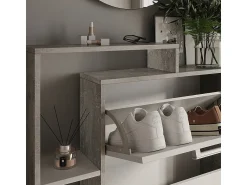 Móvel De Arrumação|Sapateira*Vicco Basculante de sapatos /concreto 80x18.2x128.3 orlando Branco