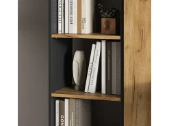 Prateleira*Vicco Bücherregal carvalho antracite/goldkraft 40x30x120 tomy Cinza antracite