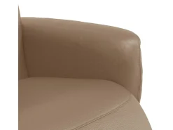 vidaxl Cadeira reclinável com apoio de pés couro artificial cappuccino^ Poltrona