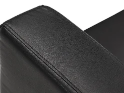 Poltrona|Vente-unique Cadeirão em pele sintética - ACKLEY Preto