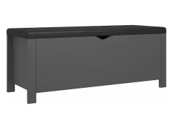 Acessórios De Arrumação|vidaxl Caixa arrumação c/ almofadão contraplacado 105x40x45 cm cinza Cinzento