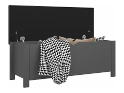 Caixa arrumação c/ almofadão contraplacado 105x40x45 cm cinza PT232357^ Acessórios De Arrumação