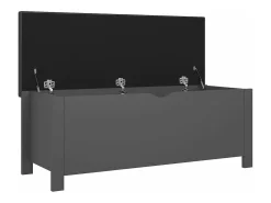 Caixa arrumação c/ almofadão contraplacado 105x40x45 cm cinza PT232357^ Acessórios De Arrumação
