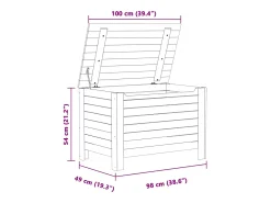 Acessórios De Arrumação*vidaxl Caixa arrumação c/ tampa RANA 100x49x54 cm pinho maciço Branco