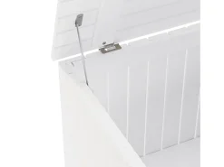 vidaxl Caixa de arrumação c/ tampa RANA 60x49x54cm pinho maciço^ Acessórios De Arrumação
