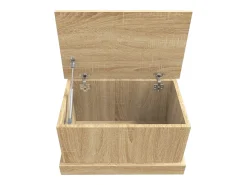 Acessórios De Arrumação|vidaxl Caixa de arrumação Carvalho Sonoma 50x30x28 cm Madeira engenheirada Natural claro