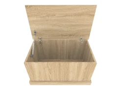 Acessórios De Arrumação*vidaxl Caixa de arrumação Sonoma Carvalho 70x40x38 cm Madeira engenheirada Natural claro