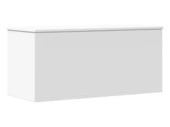 Acessórios De Arrumação*vidaxl Caixa de arrumação 100x42x46 cm derivados de madeira Branco
