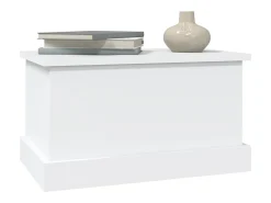 Acessórios De Arrumação| Caixa de arrumação 50x30x28 cm derivados de madeira PT585850 Branco