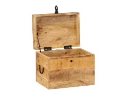 Acessórios De Arrumação* Caixa de arrumação 39x28x31 cm madeira de mangueira maciça PT351320 Castanho