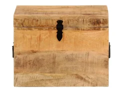 Acessórios De Arrumação* Caixa de arrumação 39x28x31 cm madeira de mangueira maciça PT351320 Castanho