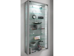 Vitrina*VCM Caixa de exposição de vidro pendurada | Vitrine de vidro com vidro de segurança ESG | Dimensões: A. 114 x L. 59 x P. 18 cm | Vitrosa Maxi (prata) Multicor