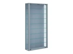 Vitrina*VCM Caixa de exposição de vidro pendurada | Vitrine de vidro com vidro de segurança ESG | Dimensões: A. 114 x L. 59 x P. 18 cm | Vitrosa Maxi (prata) Multicor