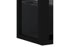 Discount VCM Caixa de exposição de vidro pendurada | Vitrine de vidro com vidro de segurança ESG | Dimensões: A. 91 x L. 59 x P. 18 cm | Vitrosa Mini (Preto) Multicor