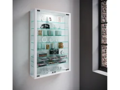 Vitrina*VCM Caixa de exposição de vidro pendurada | Vitrine de vidro com vidro de segurança ESG | Dimensões: A. 91 x L. 59 x P. 18 cm | Vitrosa Mini (Branco) Multicor