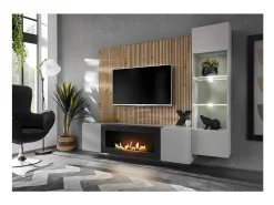 Móvel De Tv|Price Factory Composição de parede IXAR – Móvel para TV, vitrine suspensa, painéis de parede e lareira a bioetanol Cinzento claro