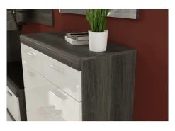Móvel De Arrumação|Sapateira|Meublorama Conjunto completo para entrada SCOTT cinza escuro e branco lacado com armário, cabideiro, sapateira e espelho de parede Prateado
