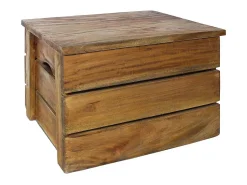 Hot vidaxl Conjunto de caixas de arrumação 2 pcs madeira de mogno maciça Natural claro