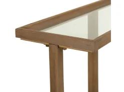 Consola| Conjunto de corredor em madeira marrom e vidro Castanho