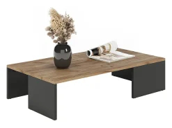 Mesa De Centro|Vicco Couchtisch carvalho antracite/goldkraft 90x50x21.4 hardi Cinza antracite