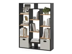 Prateleira*Vicco Divisória de sala carvalho antracite/goldkraft 107.2x29x143 Cinza antracite