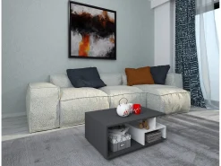 Mesa De Centro| haaus Mesa de centro Tapa, Antracite/Branco, 80 x 50 x 40 cm Cinza antracite