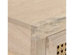 Consola*vidaxl Mesa consola 100x35x76 cm mangueira maciça e palha natural Branco