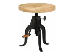 Mesa De Apoio|vidaxl Mesa de apoio 45 x (45-62) cm madeira mangueira e ferro fundido Natural claro
