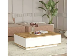 Discount Dmora Mesa de caféAlotto Dnastasi, Mesa de café, Porta-revistas para sofá, Prateleira para sala de estar, 90x60h29 cm, Carvalho e Branco Castanho
