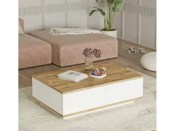 Discount Dmora Mesa de caféAlotto Dnastasi, Mesa de café, Porta-revistas para sofá, Prateleira para sala de estar, 90x60h29 cm, Carvalho e Branco Castanho